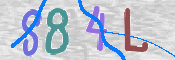 この文字を入力してください