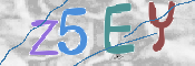 この文字を入力してください