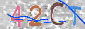 この文字を入力してください