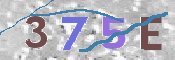 この文字を入力してください