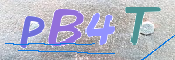 この文字を入力してください