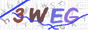 この文字を入力してください