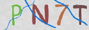この文字を入力してください