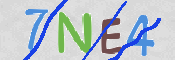 この文字を入力してください