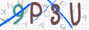 この文字を入力してください