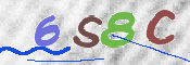 この文字を入力してください