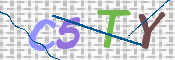 この文字を入力してください