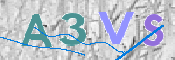 この文字を入力してください