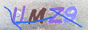 この文字を入力してください