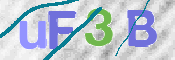 この文字を入力してください