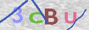 この文字を入力してください