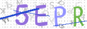 この文字を入力してください