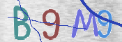 この文字を入力してください