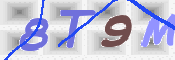 この文字を入力してください