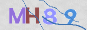 この文字を入力してください