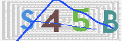この文字を入力してください