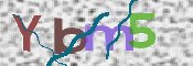 この文字を入力してください