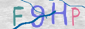 この文字を入力してください