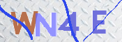 この文字を入力してください