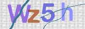 この文字を入力してください