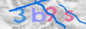 この文字を入力してください