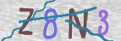 この文字を入力してください