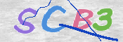 この文字を入力してください