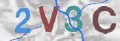 この文字を入力してください