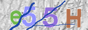この文字を入力してください