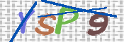 この文字を入力してください