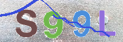 この文字を入力してください