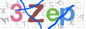 この文字を入力してください