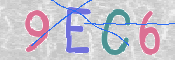 この文字を入力してください