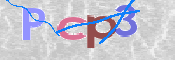 この文字を入力してください