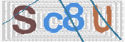 この文字を入力してください