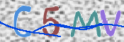 この文字を入力してください