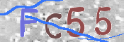 この文字を入力してください