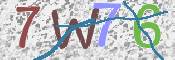 この文字を入力してください