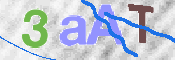 この文字を入力してください