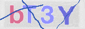 この文字を入力してください
