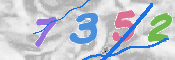 この文字を入力してください