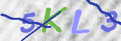 この文字を入力してください