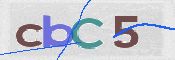 この文字を入力してください
