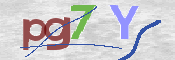 この文字を入力してください