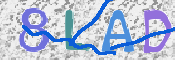 この文字を入力してください
