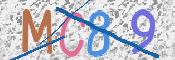 この文字を入力してください