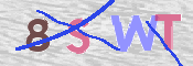 この文字を入力してください