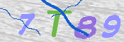 この文字を入力してください