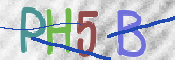 この文字を入力してください