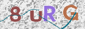 この文字を入力してください